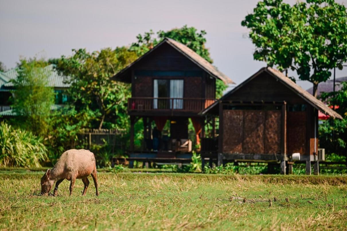 The Gemalai Village ปันไตเจอนัง ภายนอก รูปภาพ